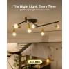 image:imageSunco 24 Pack GU24 LED Bulb A19 2 Prong Light Bulbs 800 LM 9W 60W Equivalent 4000K Cool White Dimmable Twist amp Lock GU24 Pin Base CRI91 Instant On UL3000k Warm White