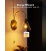 image:imageSunco 6 Pack Vintage LED Edison Bulbs E26 Spiral Filament Light 55W40W 2200K Amber Light Dimmable 450 LM 25000 Lifetime Hours ETL