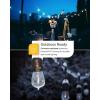 image:imageSunco 60 Pack LED S14 NonDimmable Shatterproof amp Waterproof Outdoor Vintage Backyard Patio Bright String Light Accessories Bulb 100 Lumens 2200K Amber Glow amp Wattage 1W AC120V  ETL amp FCC