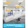 image:imageSunco 100 Pack T8 LED Bulbs 4 Foot Tube Light Bulbs Ballast Bypass 48 Inch Fluorescent Replacement 2200 LM 18W 6000K Daylight Deluxe Single Ended Power Type B Clear Lens UL6000k Daylight Deluxe
