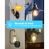 image:image24 Pack Edison Bulbs LED ST64 Clear Vintage Filament Waterproof Bulb 800 LM 8W 60W Equivalent ST19 3000K Warm White E26 Medium Base Decorative Dimmable ULWhite 4k
