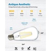 image:image24 Pack Edison Bulbs LED ST64 Clear Vintage Filament Waterproof Bulb 800 LM 8W 60W Equivalent ST19 3000K Warm White E26 Medium Base Decorative Dimmable ULWhite 3k