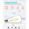 image:image24 Pack Edison Bulbs LED ST64 Clear Vintage Filament Waterproof Bulb 800 LM 8W 60W Equivalent ST19 3000K Warm White E26 Medium Base Decorative Dimmable ULWhite 4k