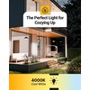 image:imageDusk to Dawn LED Outdoor Lights Bulb ST64 Edison Style Automatic Light Sensing Bulbs 800 LM 7W 60W Equivalent 3000K Warm White E26 Base UL 2 Pack12 Count Pack of 1